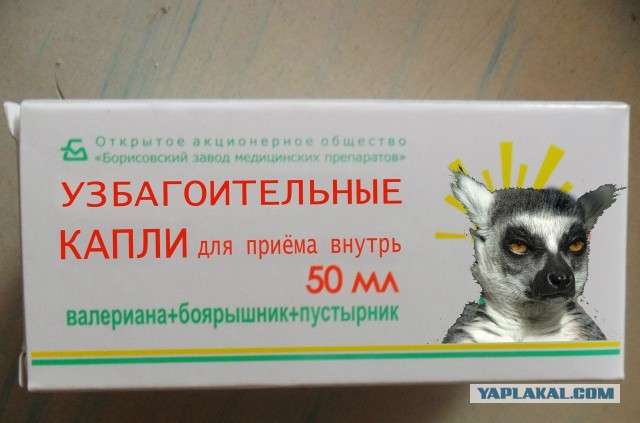 Украина готовит ответный удар