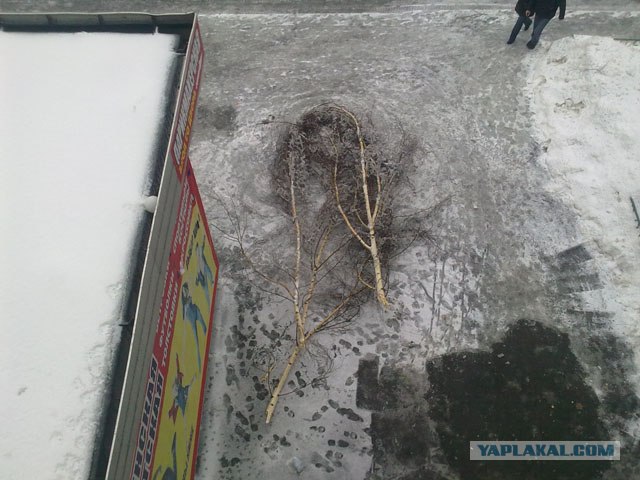 Лед на улицах Москвы