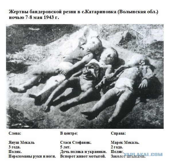 "В логове врага"