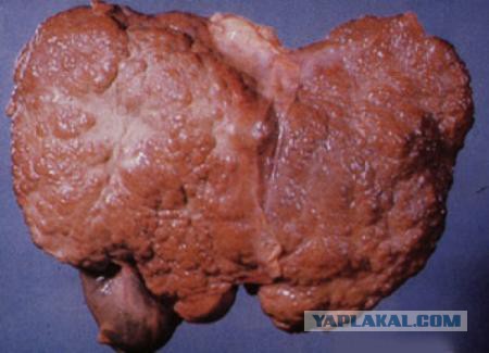 Самая сексуальная дева