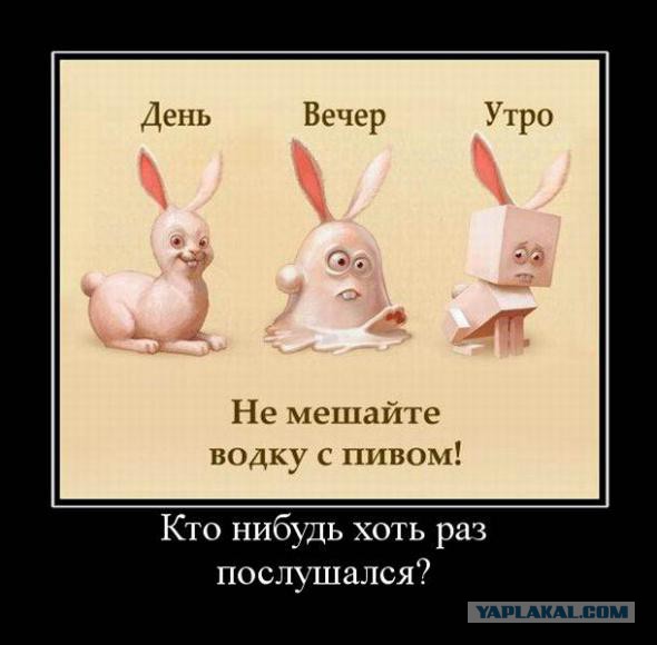 Веселые картинки, пятница.