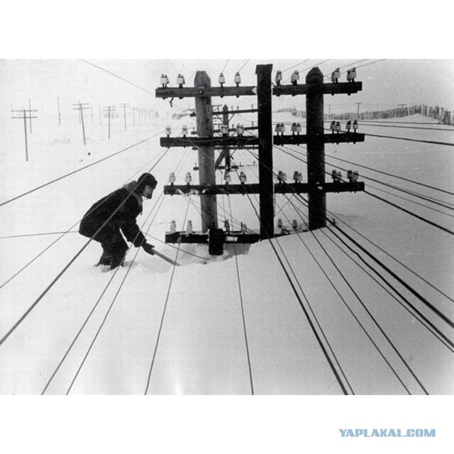 Журнал рекордов.