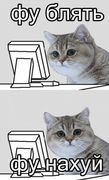 Муж меня не хочет