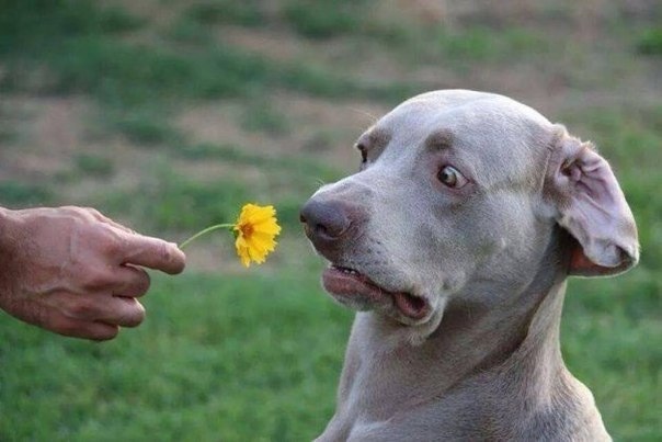 Смешные картинки