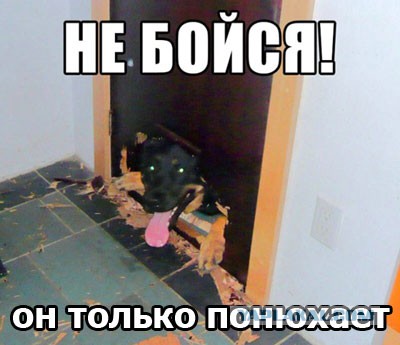 Фотки из инетов