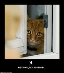 Зверь в доме