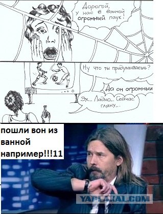 Паук в ванной