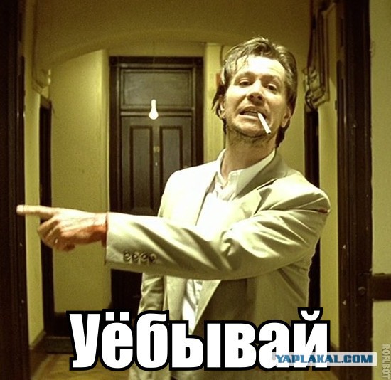 Милонов набросился на Полину Гагарину