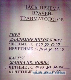 Братишка