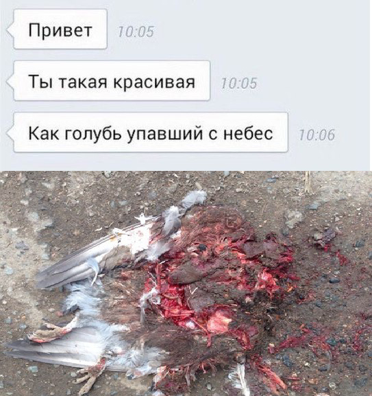 Смешные комментарии из социальных сетей 19.08.15