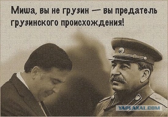 Это фото даже жабить не надо