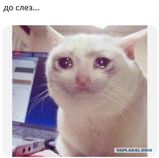 Просто яблочко