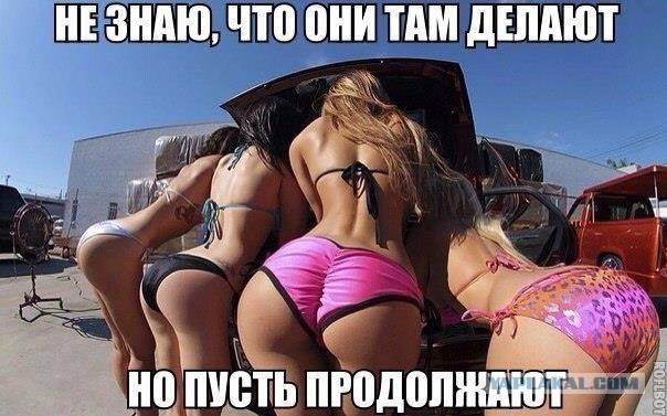 Картинки