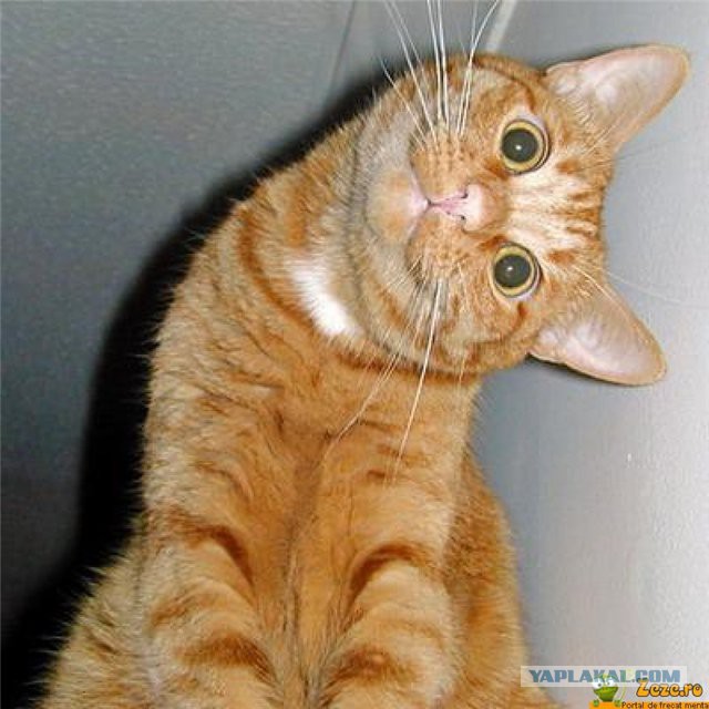 Начало красивое, а дальше, как всегда