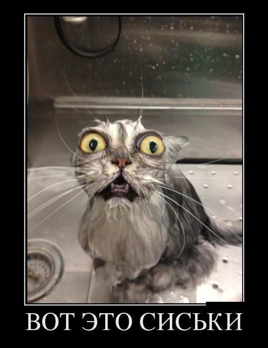 10 любопытных фактов о женской груди