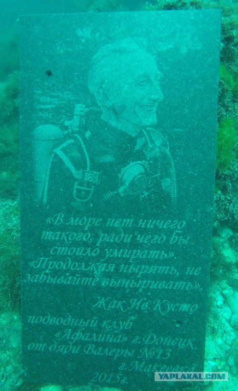 Вся правда о дайвинге!