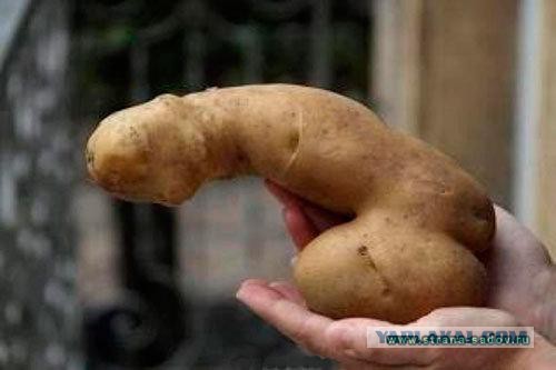 Хозяйственным на заметку