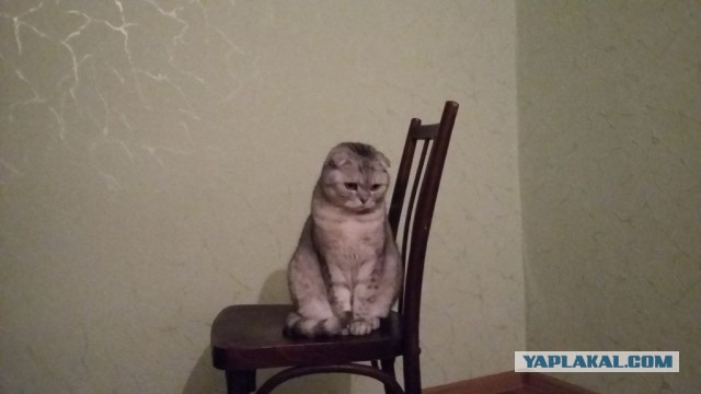 Мой первый недельный ремонт в спальне в хрущевке