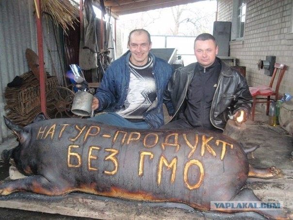 Смешные картинки