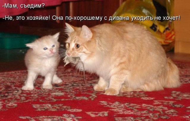 Картинки разные