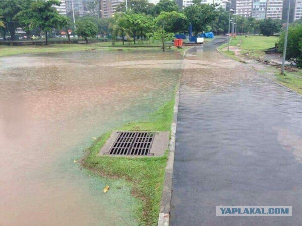 Подборка интересных и веселых картинок