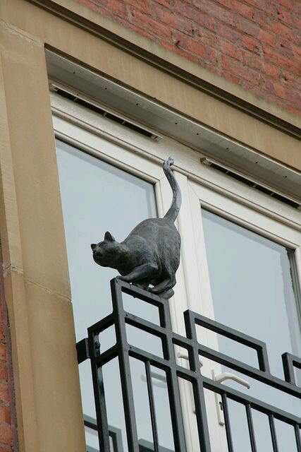 Субботняя подборочка картинок