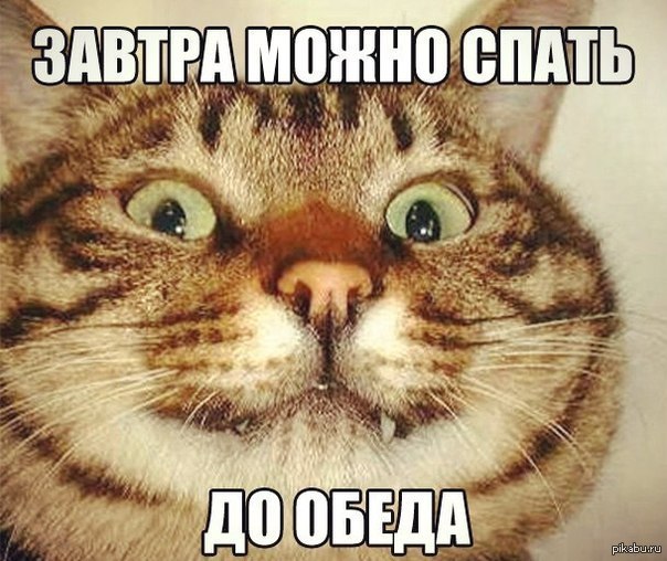 Мохнатые беспредельщики