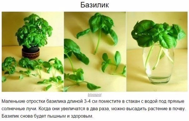 Подборка "тёплых уютных домашних" фотографий, часть 6