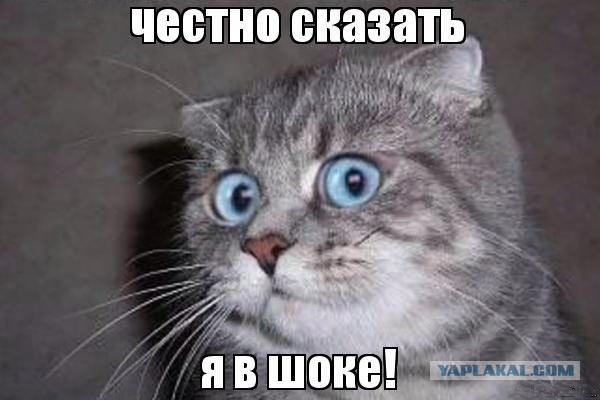Смотрели это японский фильм?