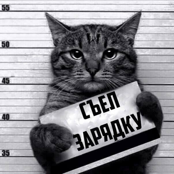 Упоротая пятиминутка