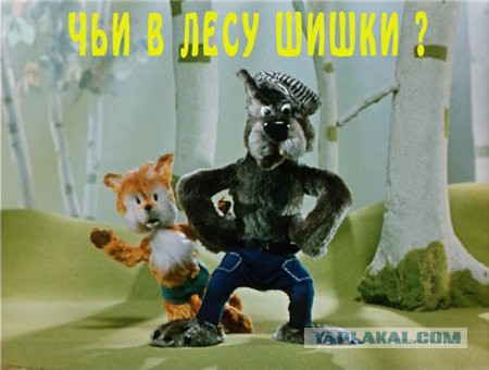 Грибников заставят сдавать грибы государству