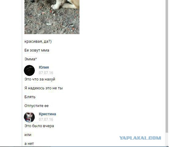 Живодерки из Хабаровска
