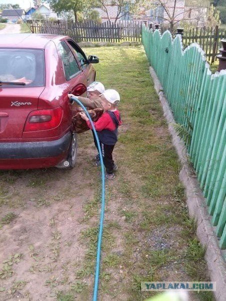 Смешные картинки из сети