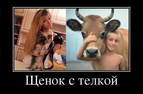 Приколы в стиле деградация