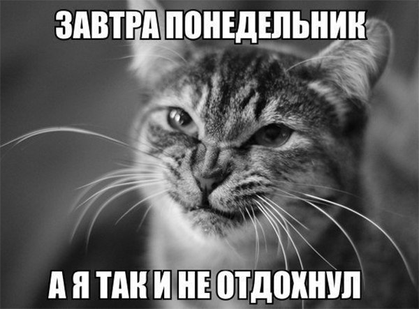 Картинки всяко-разные