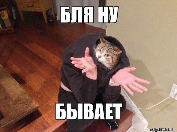 Подборка безудержного веселья