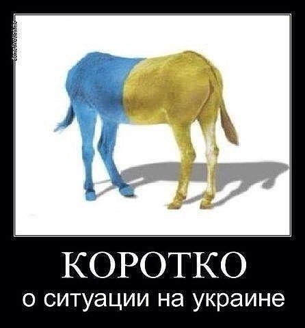 Мария врезала по морде. На Украине власти сошли с ума
