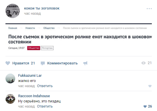 Зоопарк подал в суд за использование их енота в съёмках эротической рекламы