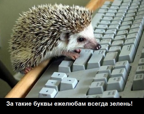 Помог ёжику
