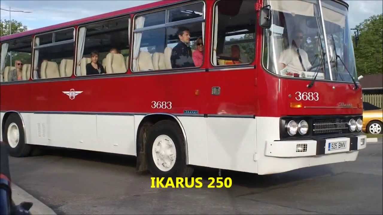 10102552.jpg