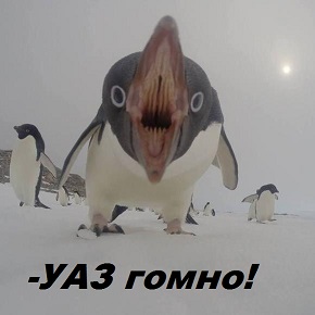 Жаренный пингвин в яйцах колибри.