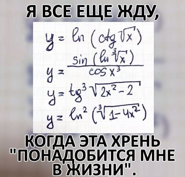 Подборка бесполезных фактов