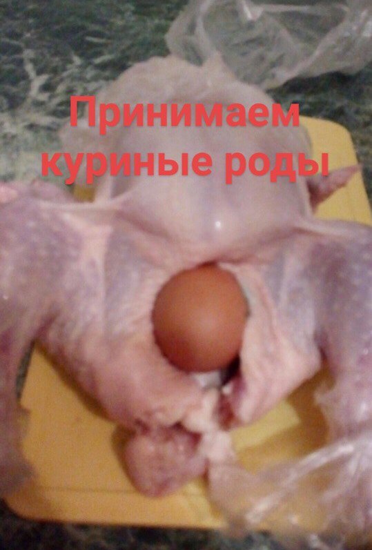 Скотсети и прочие интернеты 11.10.19
