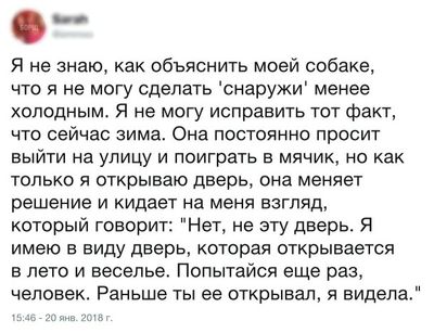 «Картинки разные нужны, картинки разные важны!» ©