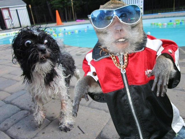 пацаны ваще ребята