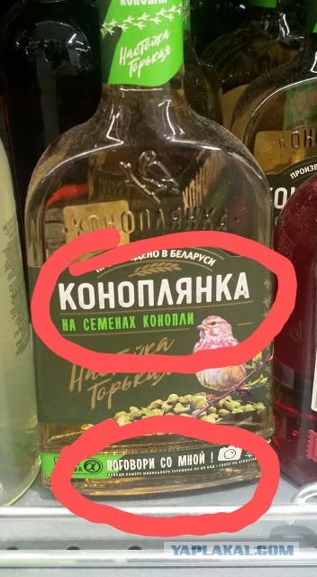 Забавные шутки, картинки и фразы из этих ваших интернетов 15.06.2021