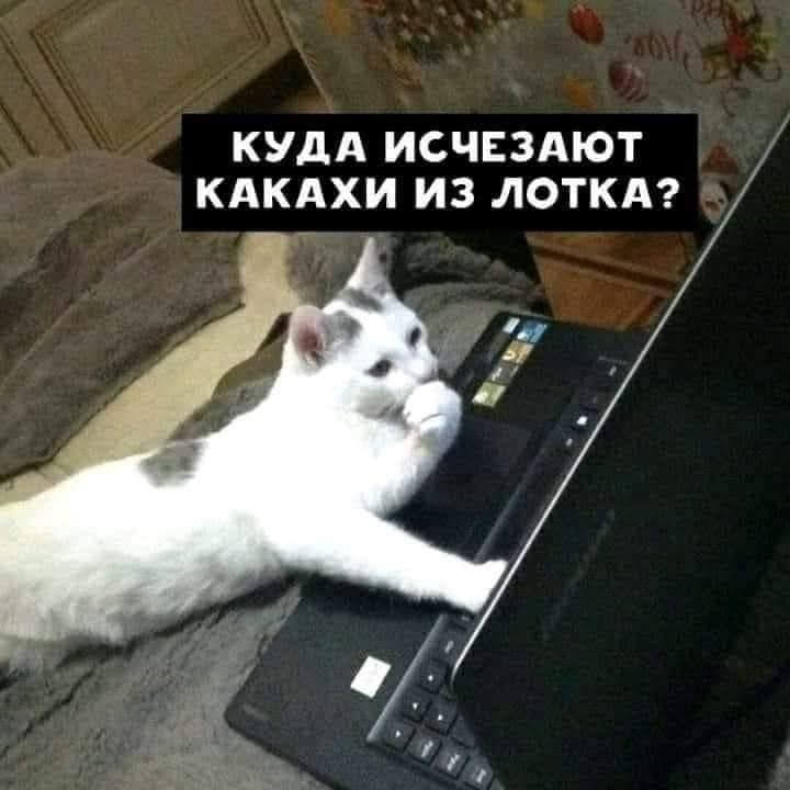 15650552.jpg