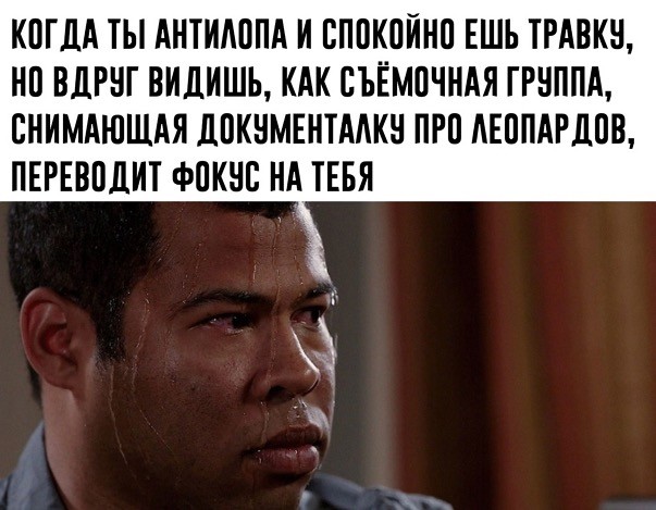 Картинки и мемы для настроения 02.08.2021