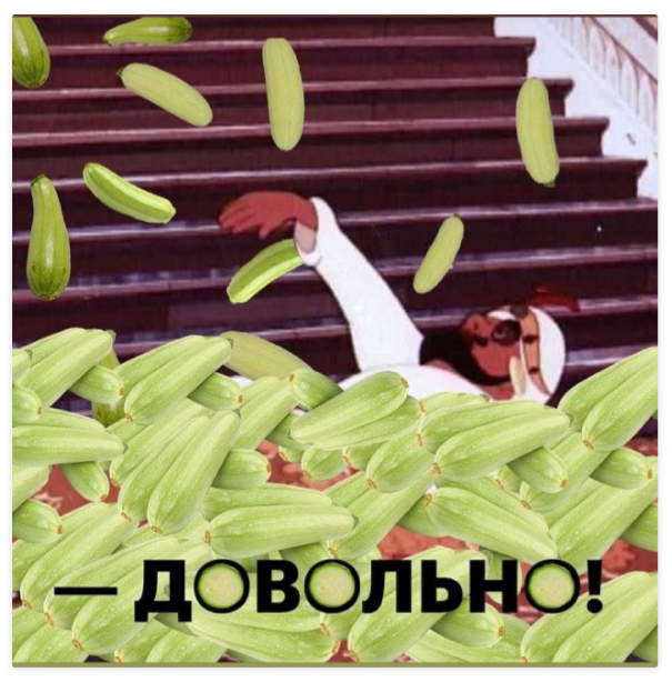 Весёлый полтишок 15.08