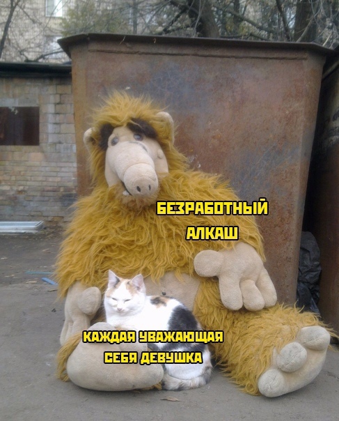 Весёлый полтишок 16.08